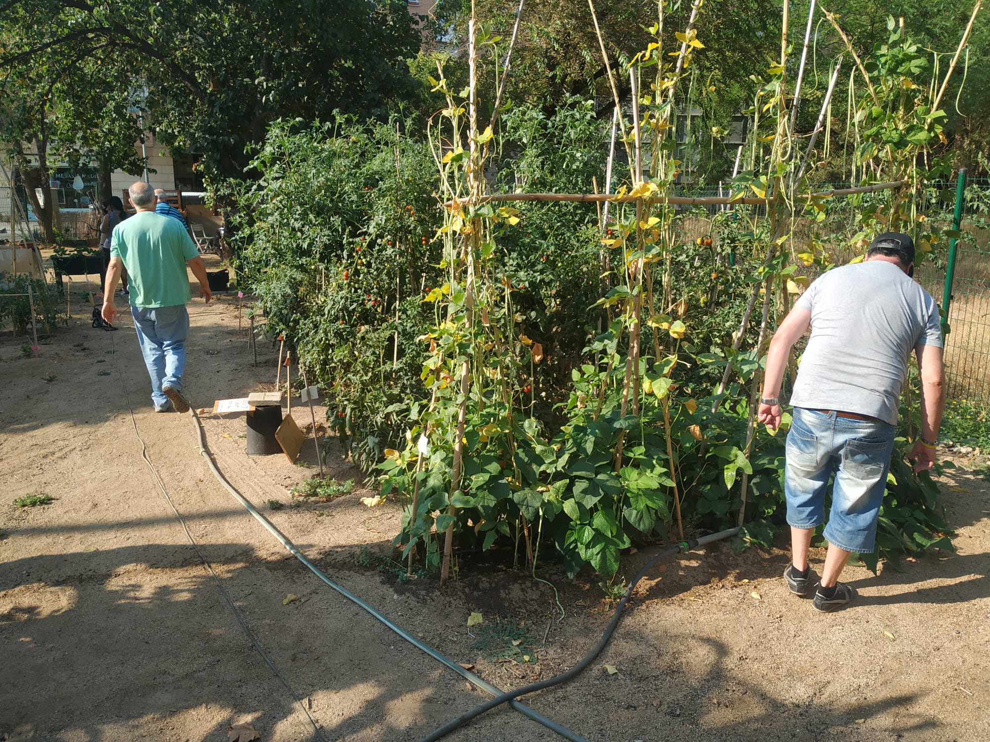 WhatsApp Image 2021-12-14 at 12.00.55 (1)