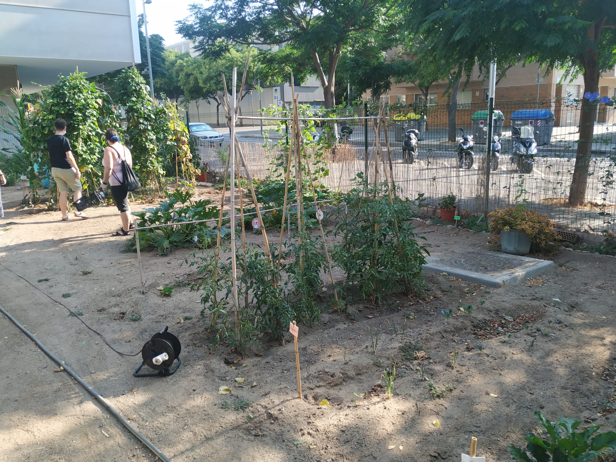 WhatsApp Image 2021-12-14 at 12.00.57 (2)